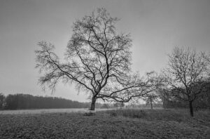 Black and White 01-25